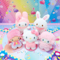 Japan Sanrio Plush Doll (S) - Little Twin Stars Lala / Pitatto Friends - 7