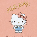 Japan Sanrio A7 Spiral Memo - Hello Kitty / Smoky - 4