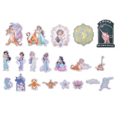 Japan Disney Store Flake Stickers with Case - Aladdin