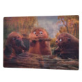 Japan Disney Store Lenticular Postcard - Zootopia Mabel : When I Become a Beaver - 4