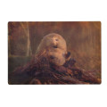 Japan Disney Store Lenticular Postcard - Zootopia Loaf : When I Become a Beaver - 2