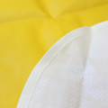 Japan Disney Picnic Blanket Leisure Sheet - Pooh : Face - 2