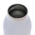 Japan Disney Store Stainless Steel Bottle 500ml - Chip & Dale - 4