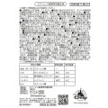 Japan Disney Store Stainless Steel Bottle 500ml - Chip & Dale - 7