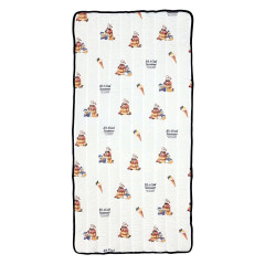 Japan Disney Store Cool Pad - Donald