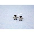 Japan Hamanaka Wool Needle Felting Kit - Penguin Brothers - 2