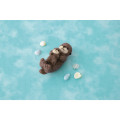 Japan Hamanaka Wool Needle Felting Kit - Sea Otter Mom & Baby - 2