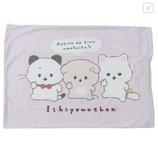 Japan San-X Pillow Cover - Ishiyowa-chan : Introducing Kouhai-chan - 1