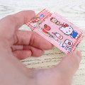Japan Sanrio Blister Acrylic Keychain - Hello Kitty & Tiny Chum : Blistaz Pack Introduction - 3