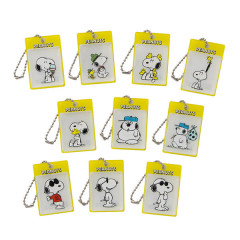 Japan Peanuts Secret Blister Acrylic Keychain - Snoopy : Blistaz Pack Introduction Blind Box