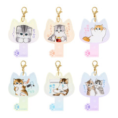 Japan Mofusand Acrylic Charm Box Set - I want to interrupt your outing