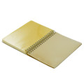 Japan Disney Store Rollbahn Diary (L) - Donald : 2027 - 7