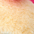 Japan Sanrio Original Plush Toy - Usahana : Always Loved - 4