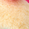 Japan Sanrio Original Face-Shaped Cushion - Usahana : Always Loved - 4