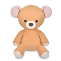 Japan Disney Store Washable Cool Daku Plush Toy - Michael's Teddy Bear - 1