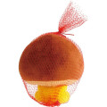 Japan San-X Plush Toy - Amaguri-chan : San-X Universe - 4