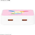 Japan Mofusand Hibiya Kadan USB Type-C AC Adapter - Usahana - 3
