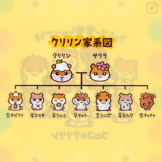 Japan Sanrio A4 Clear Folder - Corocorokuririn : The Whole Family Gather Yellow - 4
