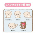 Japan San-X Secret Bath Ball - Ishiyowa-chan : Relax Mascot Blind Box - 2