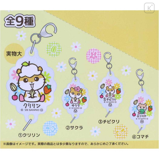 Japan Sanrio Secret Acrylic Charm - Corocorokuririn : The Whole Family Gather Blind Box - 3