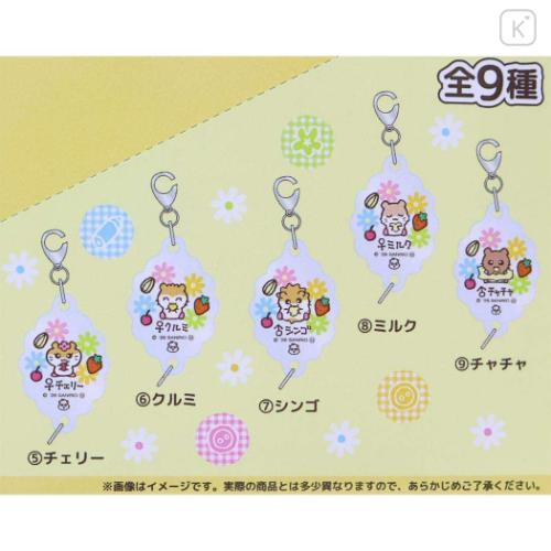 Japan Sanrio Acrylic Charm Box Set - Corocorokuririn : The Whole Family Gather - 5