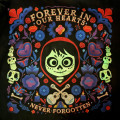 Japan Disney Store T-Shirt - Coco Miguel : Glow In The Dark - 8