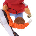 Japan Disney Store Tassel Curtain - Coco : Miguel - 5