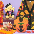 Japan Disney Store Plush Keychain - Chip & Dale : Halloween 2026 - 2