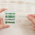 Japan Cocosasu Detachable Index Sticky Notes - Film Kiwi - 2