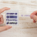 Japan Cocosasu Detachable Index Sticky Notes - Film Grapes - 2
