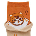 Japan Mofusand Layered-Style Socks - Bear Cat Orange - 6