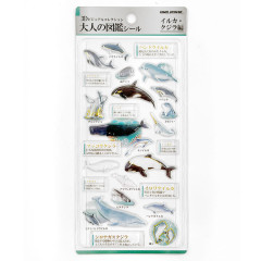 Japan Kamio 3D Picture Book Sticker - Dolphins & Whales