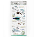 Japan Kamio 3D Picture Book Sticker - Dolphins & Whales - 1