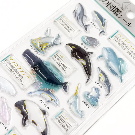 Japan Kamio 3D Picture Book Sticker - Dolphins & Whales - 2