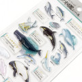 Japan Kamio 3D Picture Book Sticker - Dolphins & Whales - 2