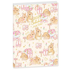 Japan Miki Takei A6 Planner Monthly Schedule Book - Ribbon Rabbit 2027