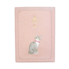 Japan Miki Takei 6 Pockets A5 Clear File - Silver Tabby