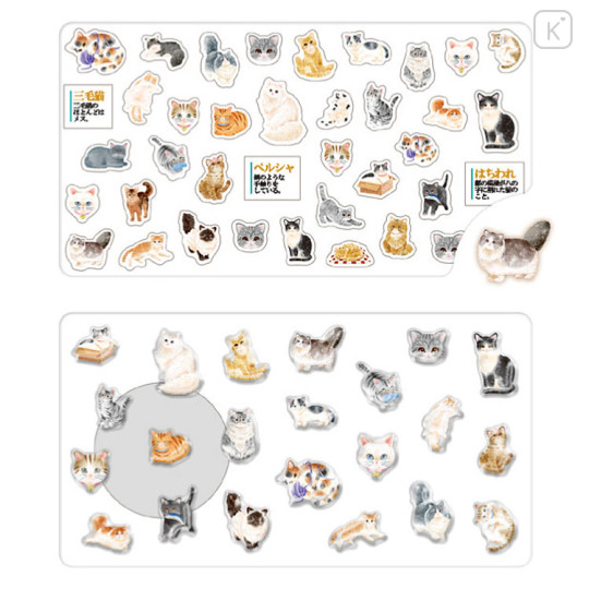 Japan Kamio Deco Petit Picture Book Sticker - Cat - 2