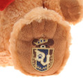 Japan Disney Store UniBEARsity Plush Toy - Rusk - 5
