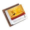Japan Disney Store Daily Calendar - 2027 - 4
