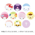Japan Sanrio Secret Fluffy Can Badge - Characters Face Blind Box - 1