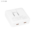 Japan Sanrio USB Type-C AC Adapter - Hangyodon - 4