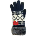 Japan Peanuts Embroidery Smartphone Compatible Gloves - Snoopy : Winter Black Beige - 1