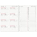 Japan A6 Planner Monthly Schedule Book - Die-Cut Cat Gray 2027 - 5