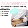 Japan Moomin Lumbar Support Cushion - Little My : Surrounded by Flowers - 5