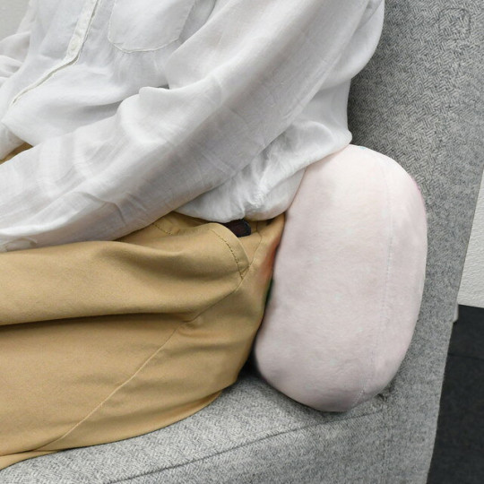 Japan Disney Lumbar Support Cushion - Eeyore & Pooh : Happiness Flower Day - 3