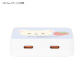 Japan Miffy USB Type-C AC Adapter - Korilakkuma - 3
